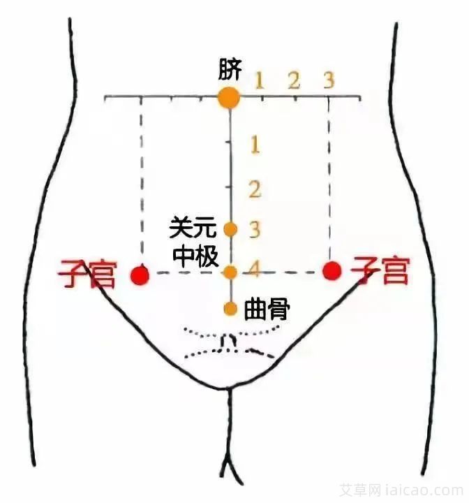 宫颈炎的艾灸疗法(图5)