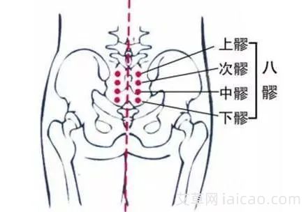 宫颈炎的艾灸疗法(图2)