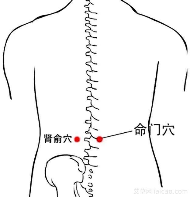 宫颈炎的艾灸疗法(图1)