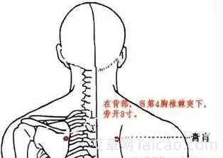 艾灸膏盲穴的好处(图1)