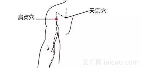 睡觉打呼噜怎么艾灸？(图3)