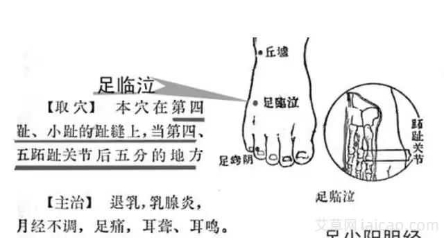春天疏肝护胆的艾灸宝藏穴(图1)