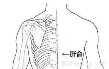 大寒前后的艾灸养生(图1)